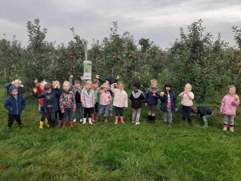 naar de appelboomgaard